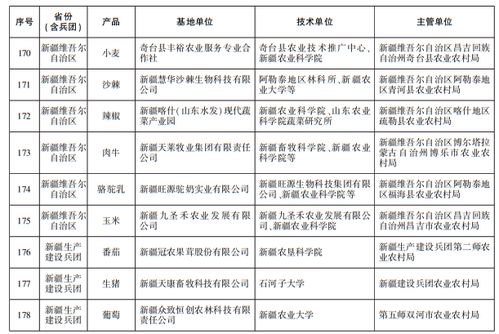 新疆及兵團(tuán)9家基地入選首批國(guó)家級(jí)網(wǎng)站建設(shè)名單